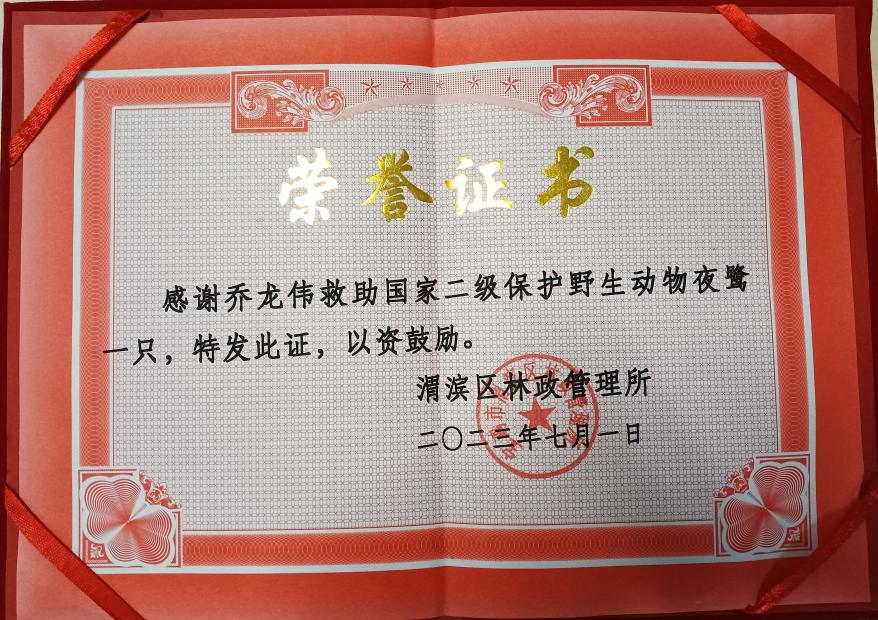 6886体育app网页